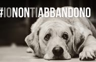 #IONONTIABBANDONO: via alla campagna di sensibilizzazione contro l'abbandono degli animali