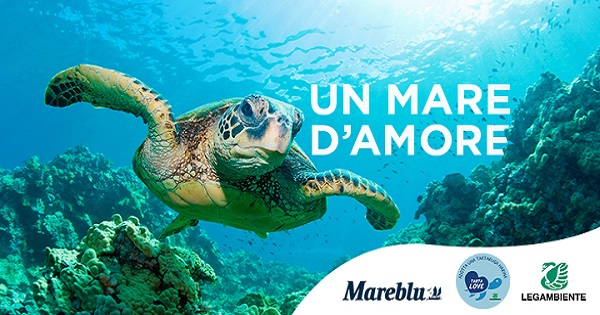 A San Valentino regala una tartaruga marina: Legambiente e Mareblu insieme per l'iniziativa TartaLove