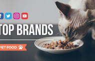 Blogmeter: le aziende più social del Pet Food