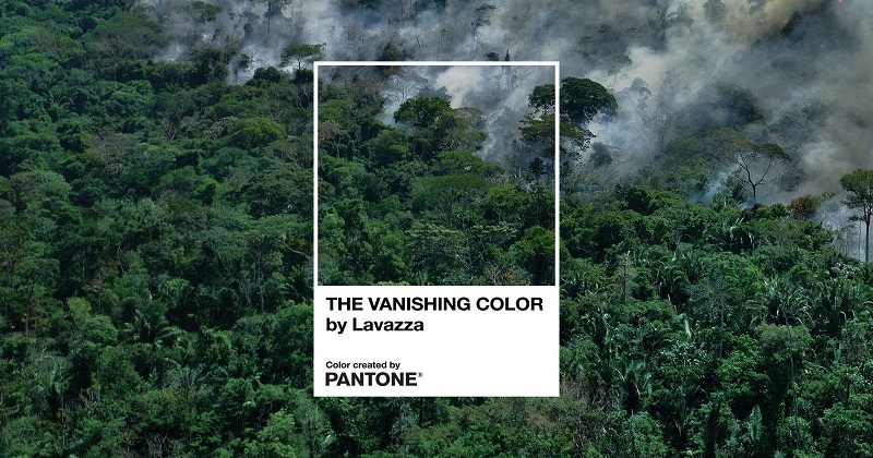 “The Vanishing Color”: Lavazza insieme a Pantone Color Institute contro la deforestazione