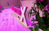L'evento WomenX Impact torna in Italia con una grande edizione