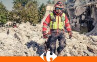 Carrefour raccoglie fondi per il terremoto in Turchia e Siria