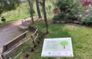 La Doria Group: 1000 alberi piantati in Campania
