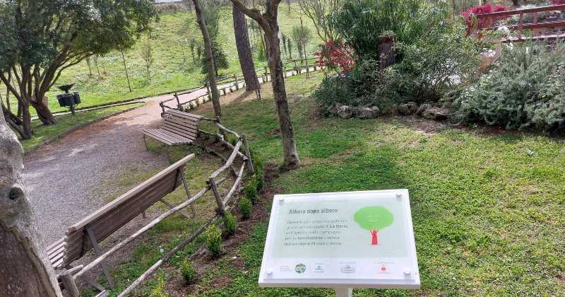 La Doria Group: 1000 alberi piantati in Campania