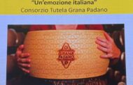 Grana Padano: allo spot va il Formaggi&Consumi Award